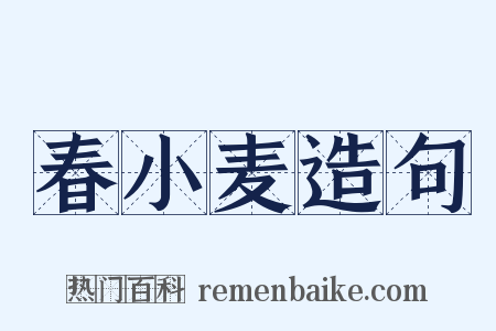 春小麦造句是什么意思的图片